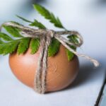 Benefícios do caldo de ovo