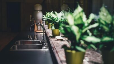 Como usar plantas na decoração e trazer mais vida ao espaço