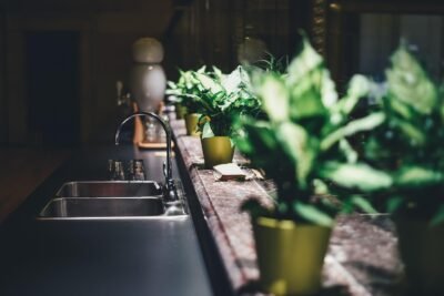 Como usar plantas na decoração e trazer mais vida ao espaço